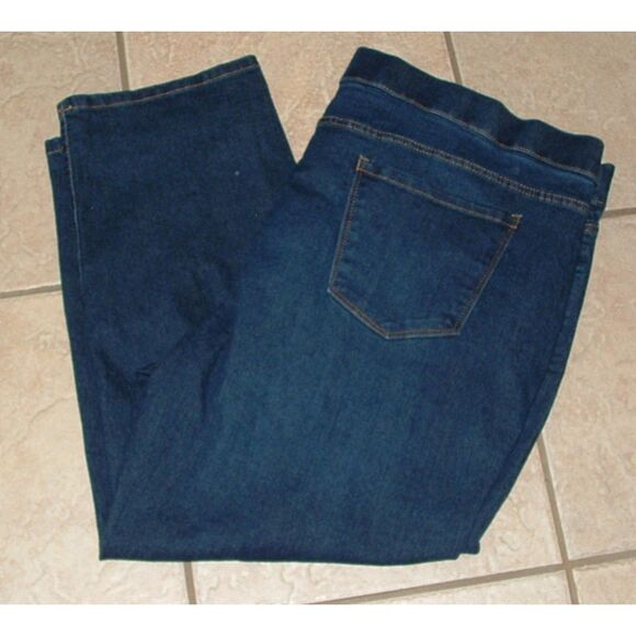 Denim Plus Sz 2X (20-22) Elastic Waist Stretchy Ankle Jeans Pockets TERRA & SKY - Picture 3 of 3